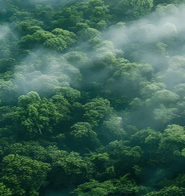 Medioambiente